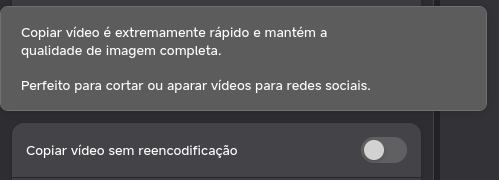 opcoes-copiar-sem-recodificacao-big-video-converter.webp